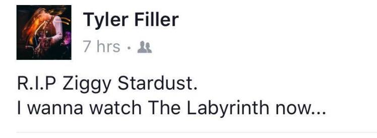 12540341_10208652020443667_1193601702_n