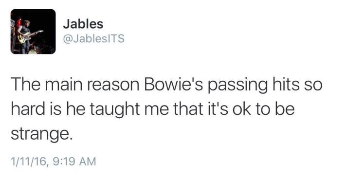 12546166_10208652020123659_1637642727_o